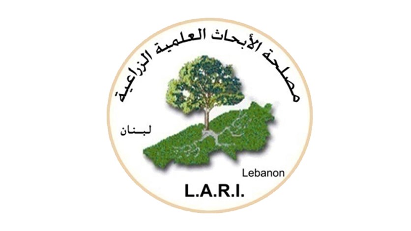 تحذير من تشكل جليد على ارتفاع 1000 متر وما فوق