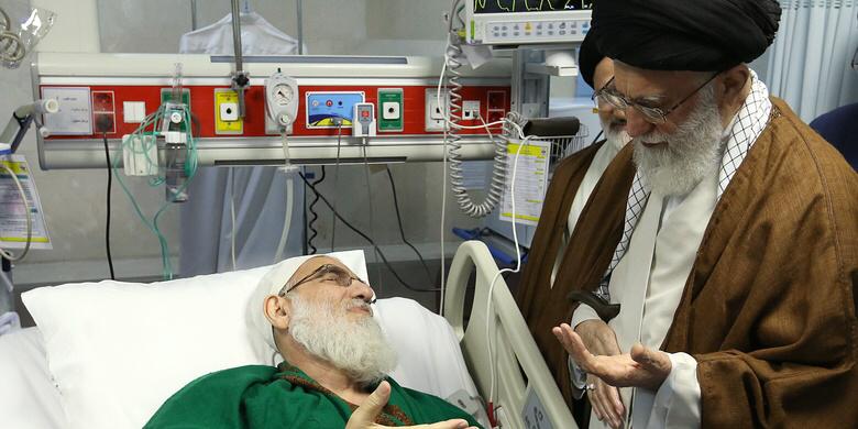 السيد محمود الهاشمي الشاهرودي (ره)، من هو؟